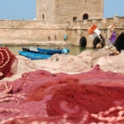 Essaouira (11)